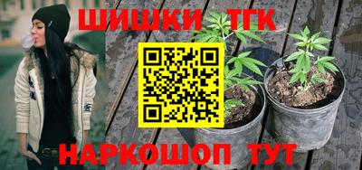 индика Конаково