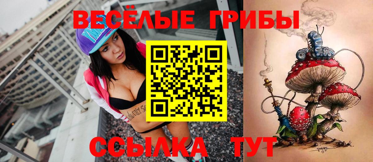 Кстово  Псилоцибиновые грибы мухоморы  Вход с VPN 